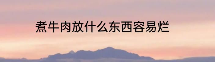煮牛肉放什么东西容易烂