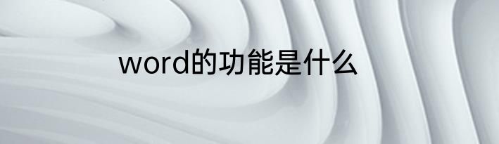 word的功能是什么