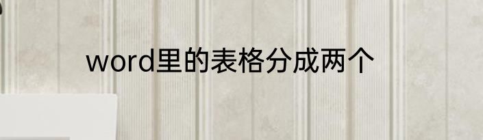 word里的表格分成两个