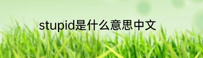 stupid是什么意思中文