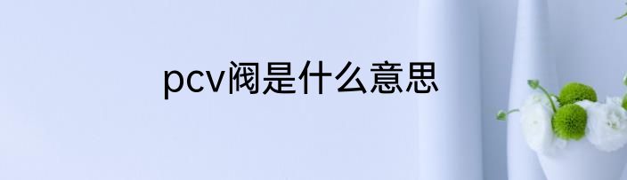 pcv阀是什么意思
