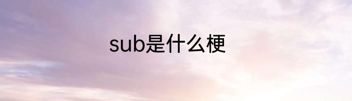 sub是什么梗