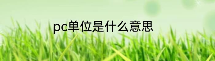 pc单位是什么意思