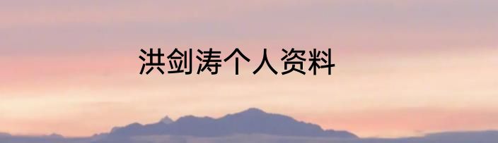 洪剑涛个人资料