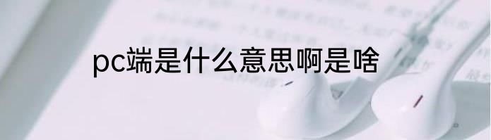 pc端是什么意思啊是啥