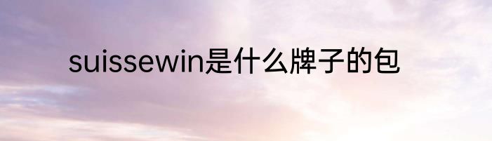suissewin是什么牌子的包