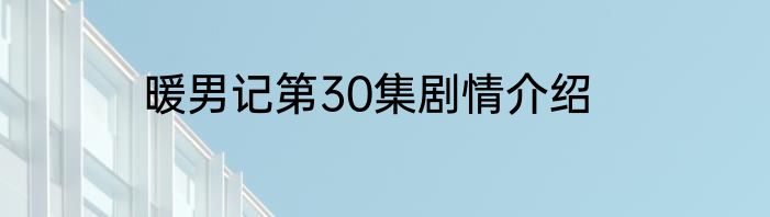 暖男记第30集剧情介绍