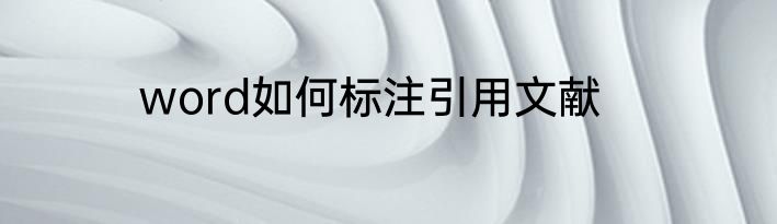 word如何标注引用文献
