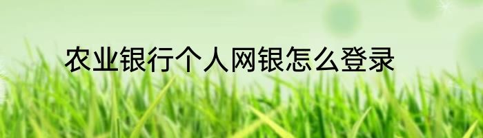 农业银行个人网银怎么登录