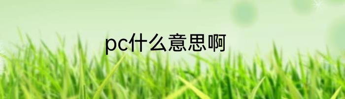 pc什么意思啊