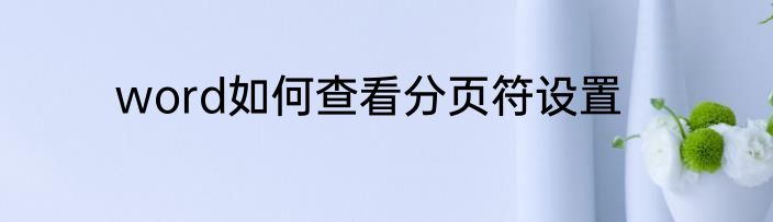 word如何查看分页符设置