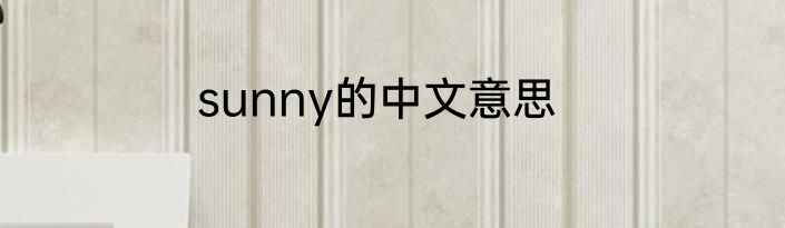 sunny的中文意思