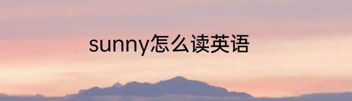 sunny怎么读英语