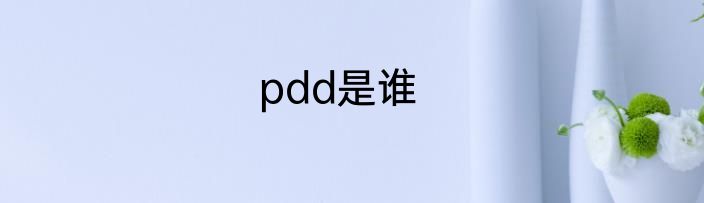 pdd是谁