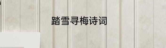踏雪寻梅诗词
