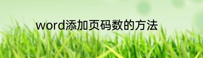 word添加页码数的方法