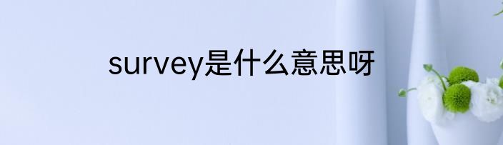 survey是什么意思呀