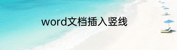 word文档插入竖线