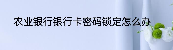 农业银行银行卡密码锁定怎么办