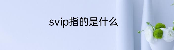 svip指的是什么