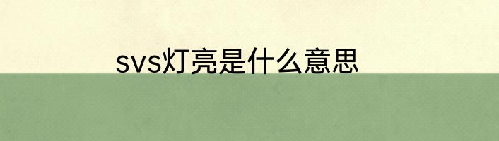 svs灯亮是什么意思