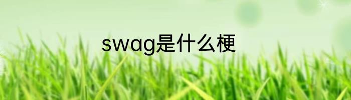 swag是什么梗