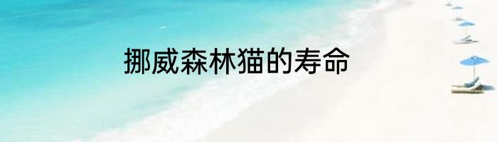 挪威森林猫的寿命