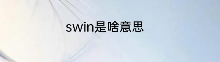 swin是啥意思