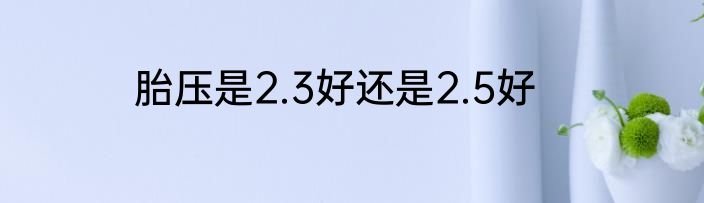 胎压是2.3好还是2.5好