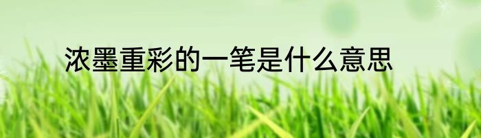 浓墨重彩的一笔是什么意思