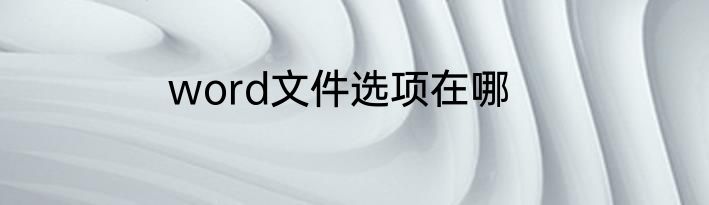 word文件选项在哪