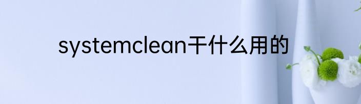 systemclean干什么用的