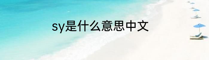 sy是什么意思中文