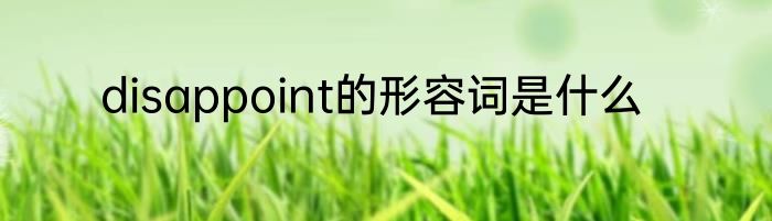 disappoint的形容词是什么
