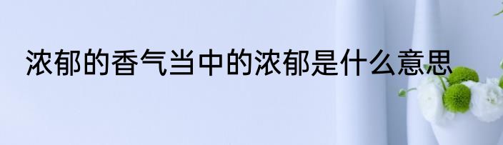 浓郁的香气当中的浓郁是什么意思