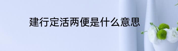 建行定活两便是什么意思