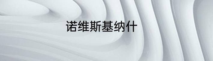 诺维斯基纳什