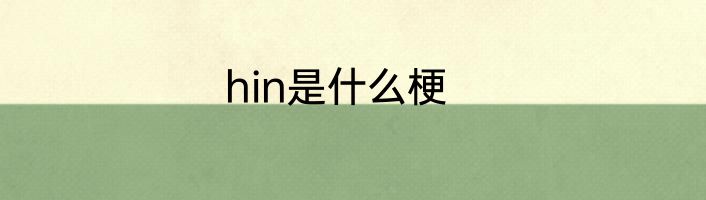hin是什么梗