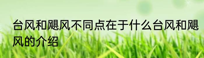 台风和飓风不同点在于什么台风和飓风的介绍