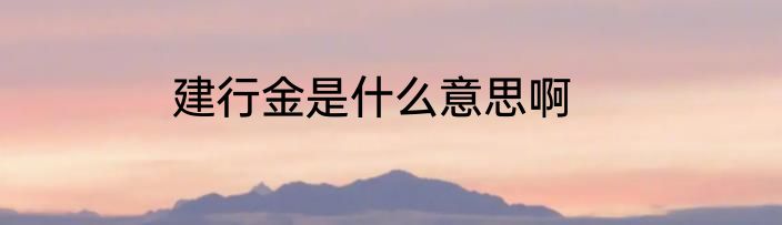 建行金是什么意思啊