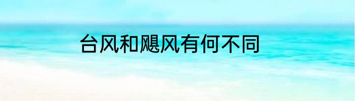 台风和飓风有何不同