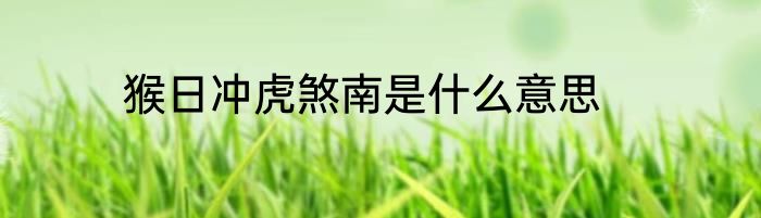 猴日冲虎煞南是什么意思