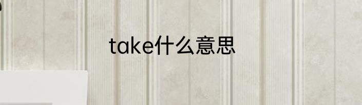 take什么意思