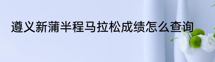 遵义新蒲半程马拉松成绩怎么查询