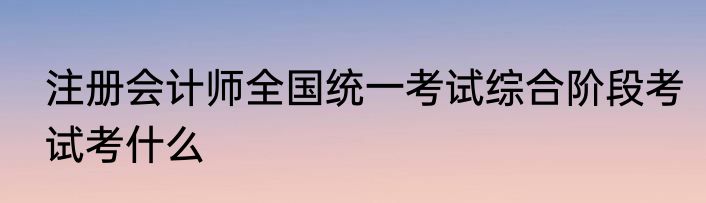 注册会计师全国统一考试综合阶段考试考什么