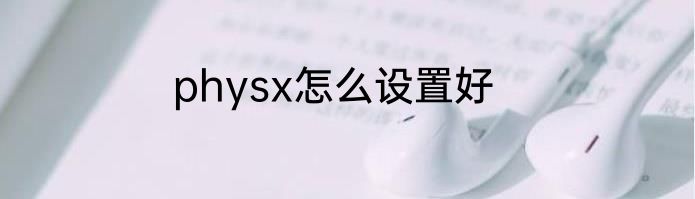 physx怎么设置好