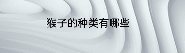 猴子的种类有哪些