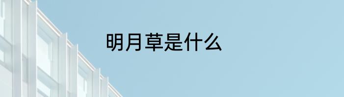 明月草是什么