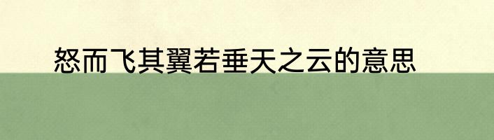 怒而飞其翼若垂天之云的意思