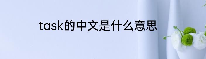 task的中文是什么意思